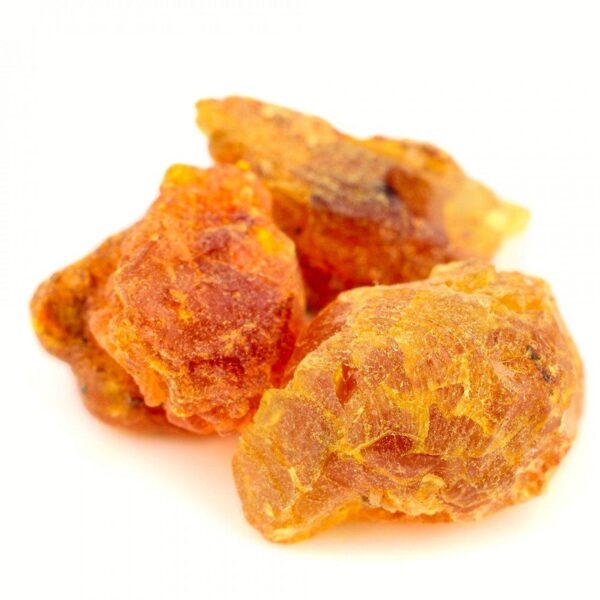 عشبة مرة