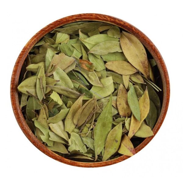ورق الريحان